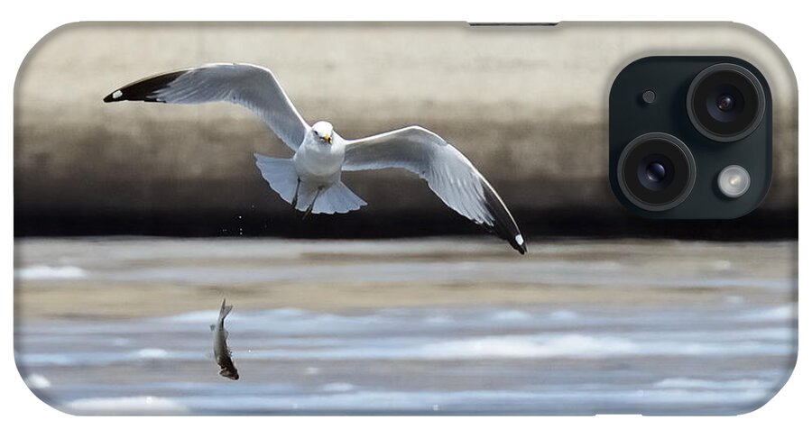 Seagull Sea Full Bird Fish Fishing Nature Wildlife iPhone Case featuring the photograph Not Quite 2777 by Ken DePue