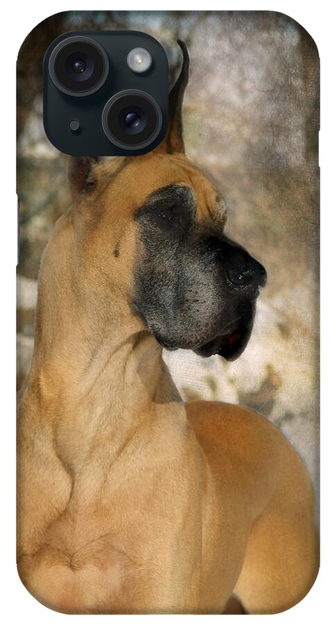 Great Dane iPhone Case featuring the photograph 'Notredanes Andre' by Fran J Scott