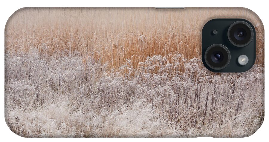 Late Autumn iPhone Case featuring the photograph November Frosted Wild Field by Irwin Barrett