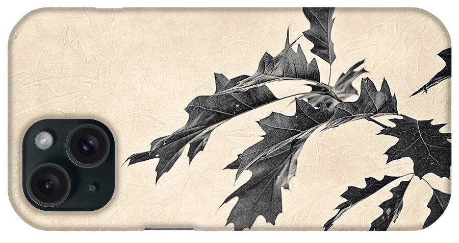 Oak iPhone Case featuring the photograph Oak by Linda Lees