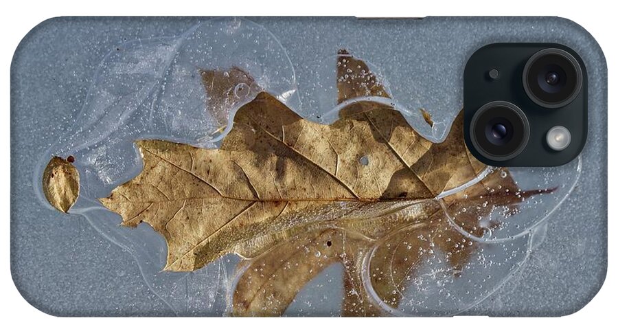 Red Oak iPhone Case featuring the photograph Oak on Ice by David Pickett