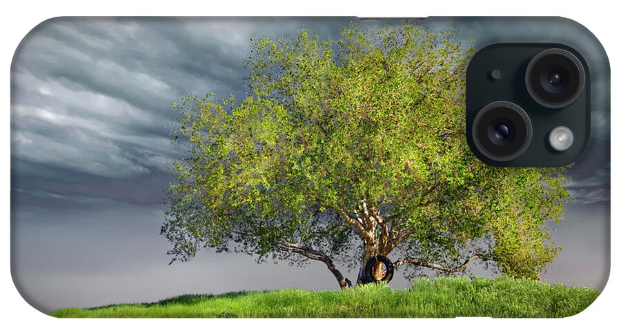 Oak Tree iPhone Case featuring the photograph Oak Tree With Tire Swing by Endre Balogh
