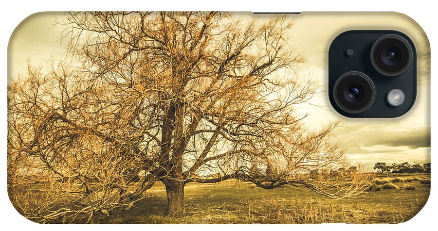 Autumn iPhone Case featuring the photograph Oatlands autumn tree by Jorgo Photography