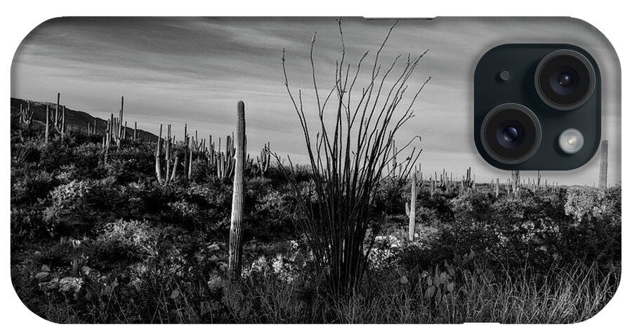 Ocotillo iPhone Case featuring the photograph Ocotillo and Saguaros by Sandra Selle Rodriguez