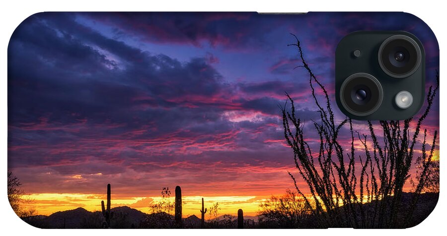 Monsoon iPhone Case featuring the photograph Ocotillo Sunset by Saija Lehtonen