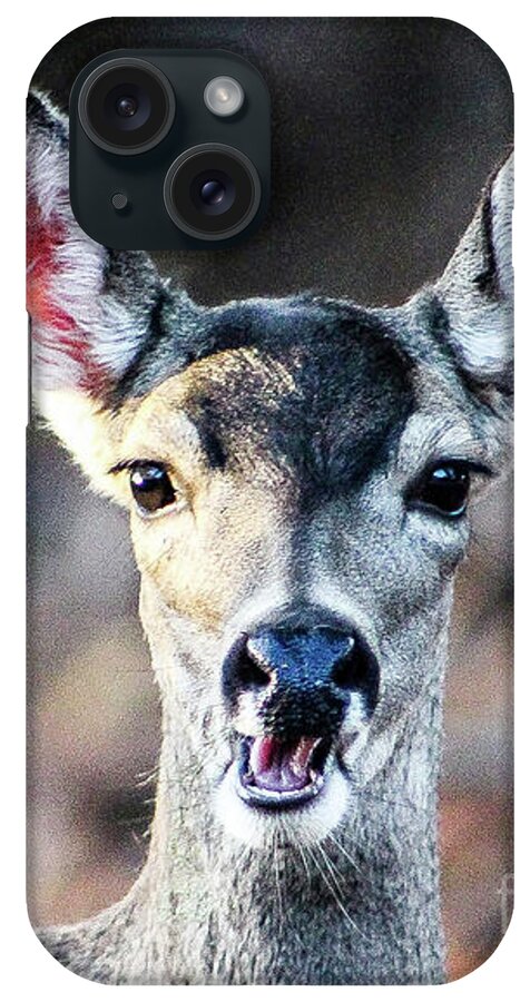 Wildlife iPhone Case featuring the photograph Oh, Deer by Adam Morsa