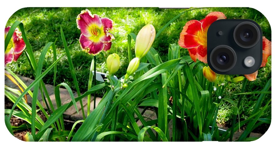 Photography iPhone Case featuring the photograph Oh Happy Day Lilies by Nancy Kane Chapman