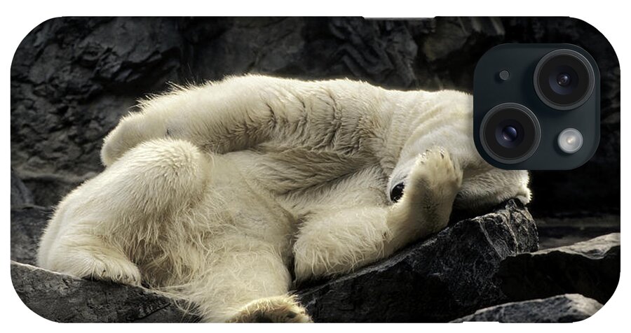 Polar Bear iPhone Case featuring the photograph Oh What A Night Polar Bear by Michael Hubley