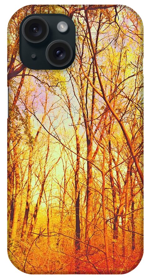 Fall iPhone Case featuring the photograph Ojibway Autumn by Christine Paris