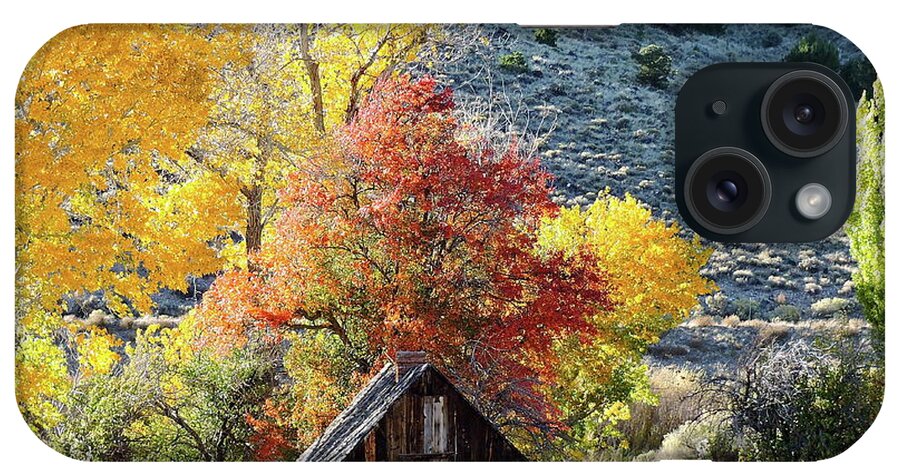Old Cabin. Fall Leaves. Birthtown Of Butch Cassidy iPhone Case featuring the photograph . Butch Cassidy's Home Place by Patricia Haynes
