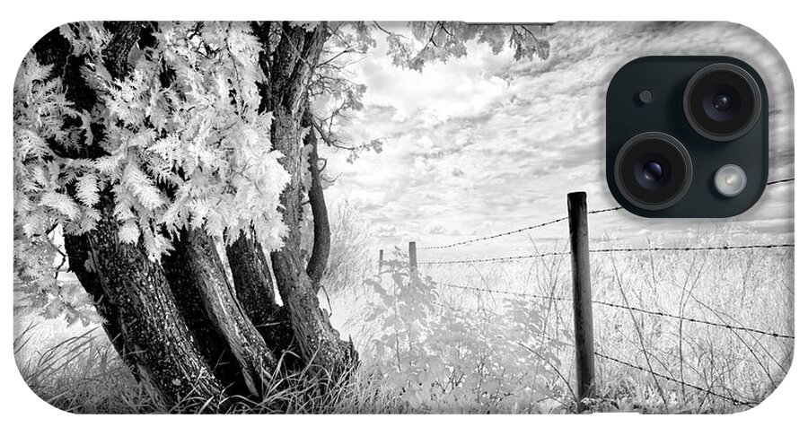 Black And White iPhone Case featuring the photograph Old Cedar and Barbed Wire by Dan Jurak