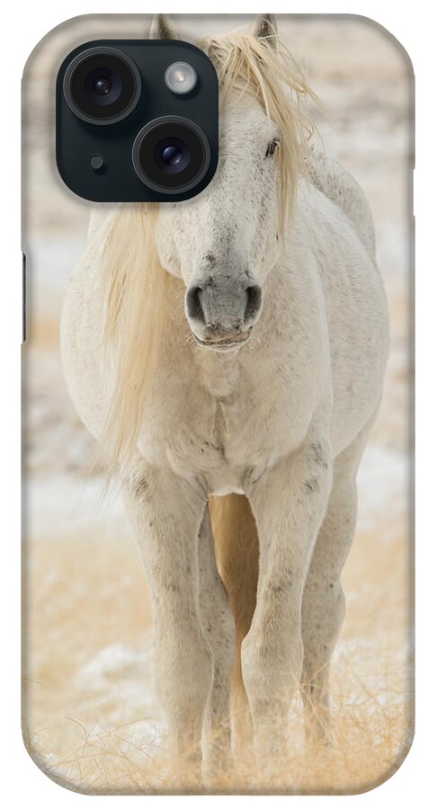 Horse iPhone Case featuring the photograph Old Man in Winter by Kent Keller