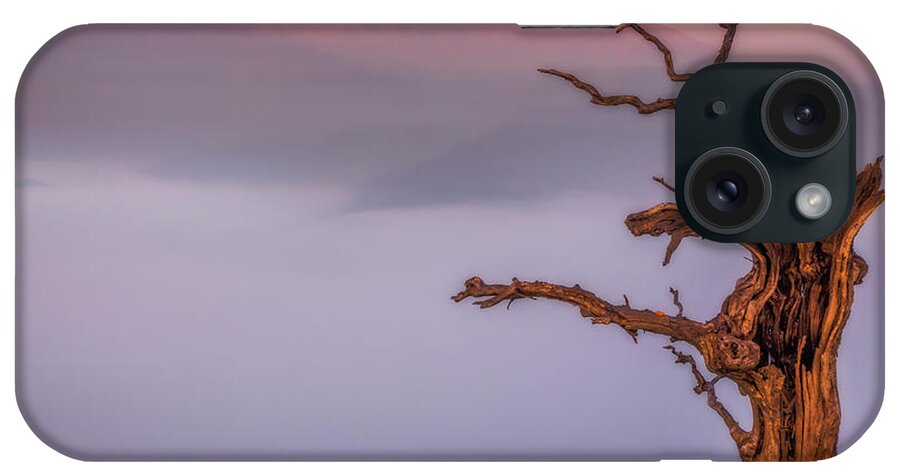 Landscape iPhone Case featuring the photograph Old Oak and Mt. Diablo on a Foggy Morning by Marc Crumpler
