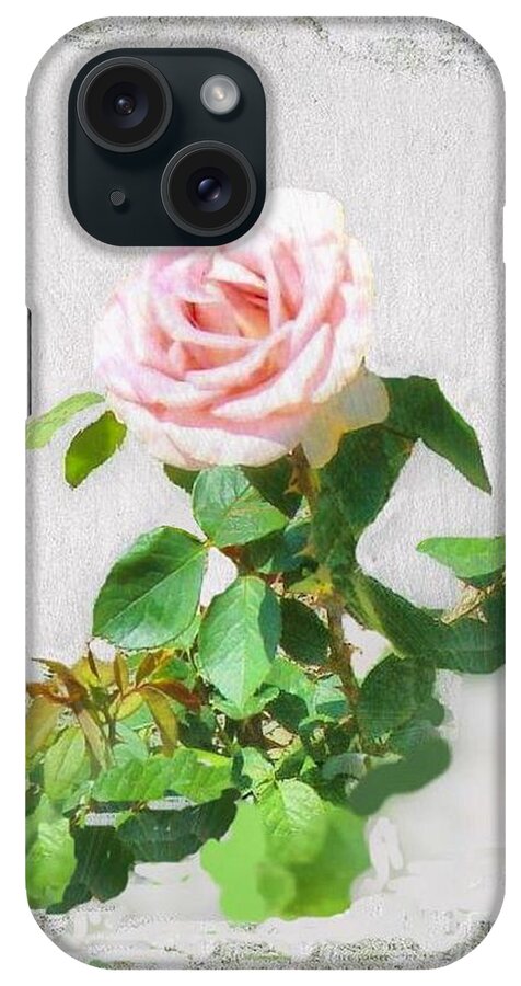 Rose iPhone Case featuring the photograph Old Pink Rose by Janette Boyd