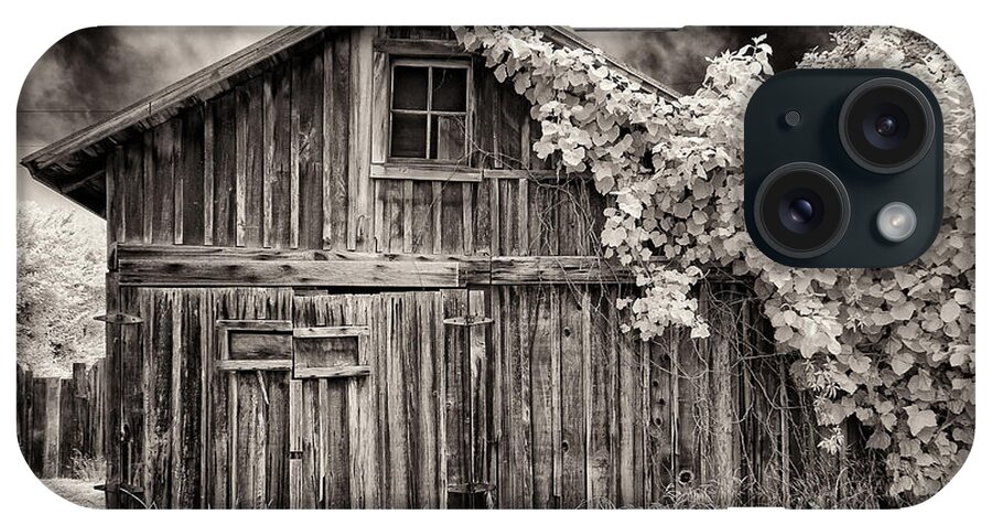 Old Shed iPhone Case featuring the photograph Old Shed in Sepia by Greg Nyquist