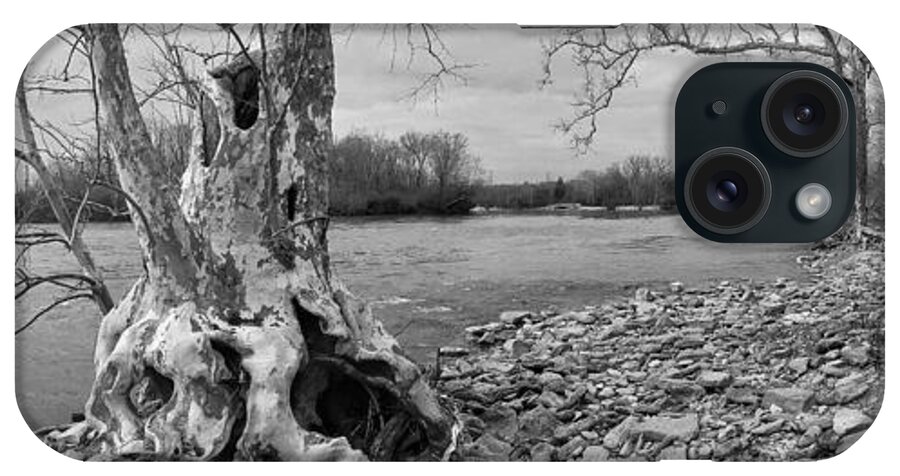 Tree iPhone Case featuring the photograph Old tree by Jason Wolters