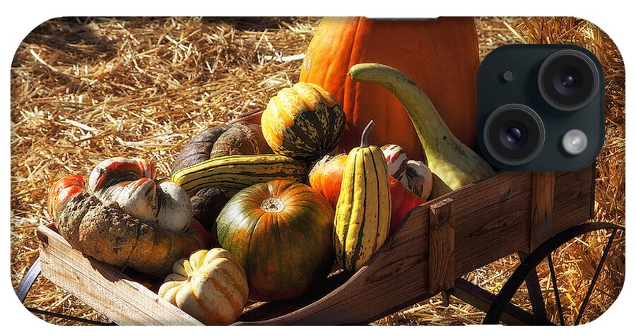 Gourd iPhone Case featuring the photograph Old wagon full of autumn fruit by Garry Gay