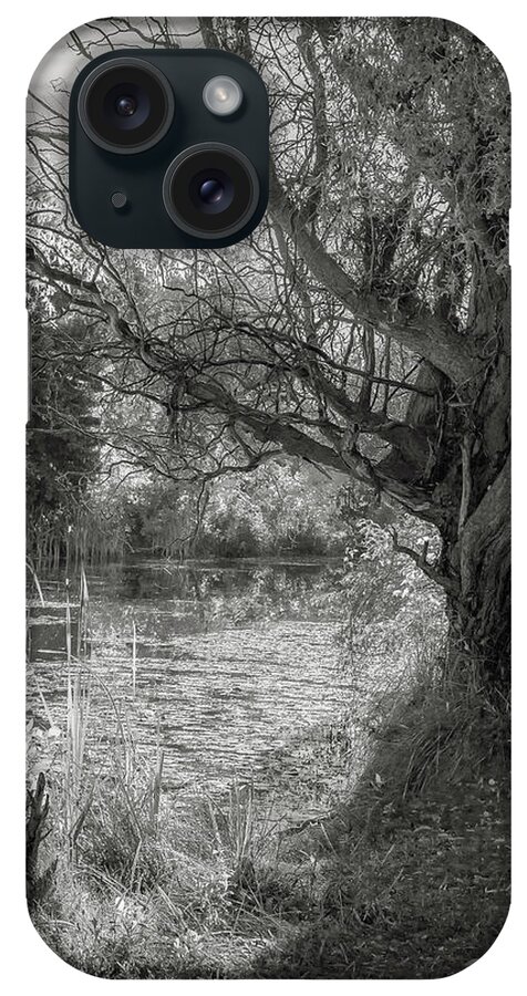 24-105 F/4 Is L iPhone Case featuring the photograph Old Willow by Mark Mille