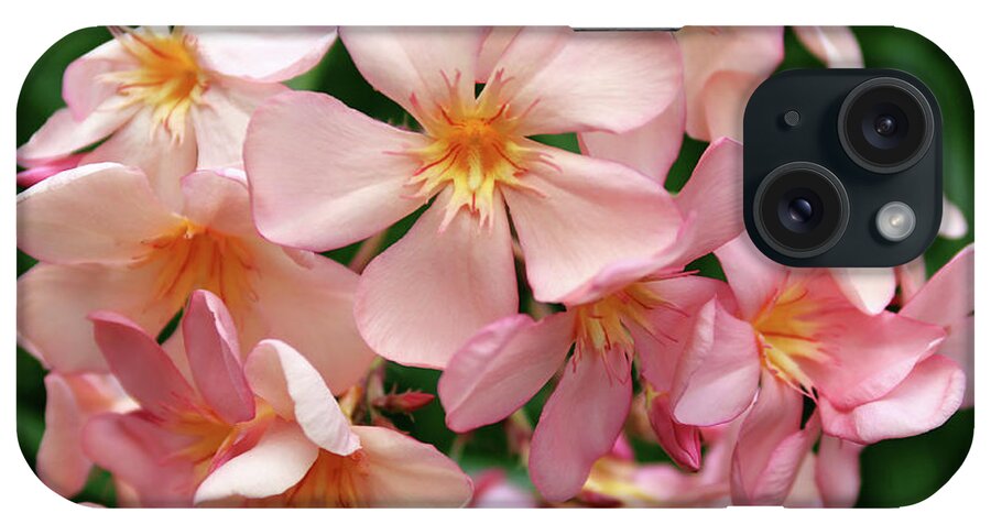 Oleander iPhone Case featuring the photograph Oleander Dr. Ragioneri 3 by Wilhelm Hufnagl