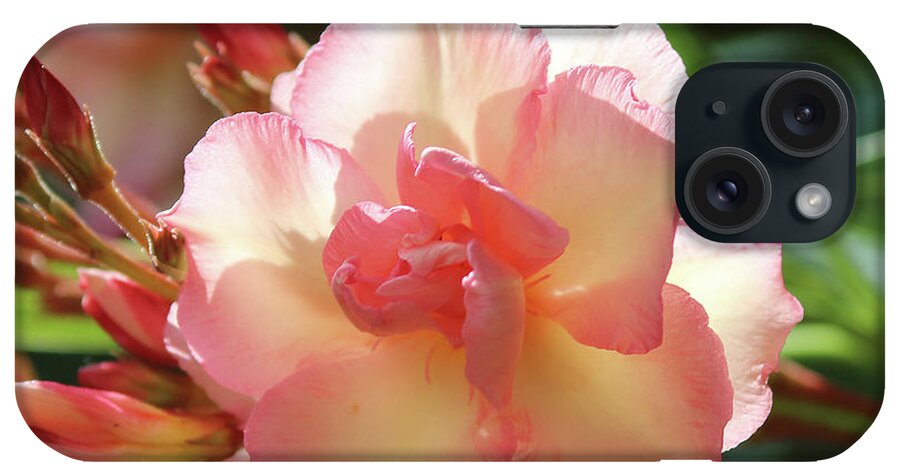 Oleander iPhone Case featuring the photograph Oleander Mrs. Roeding 1 by Wilhelm Hufnagl