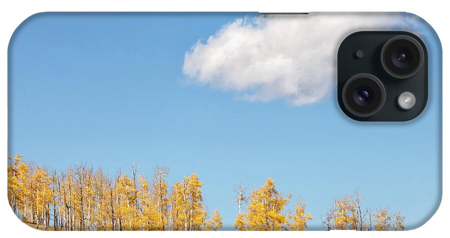 Aspens iPhone Case featuring the photograph On A Hill by Denise Bush