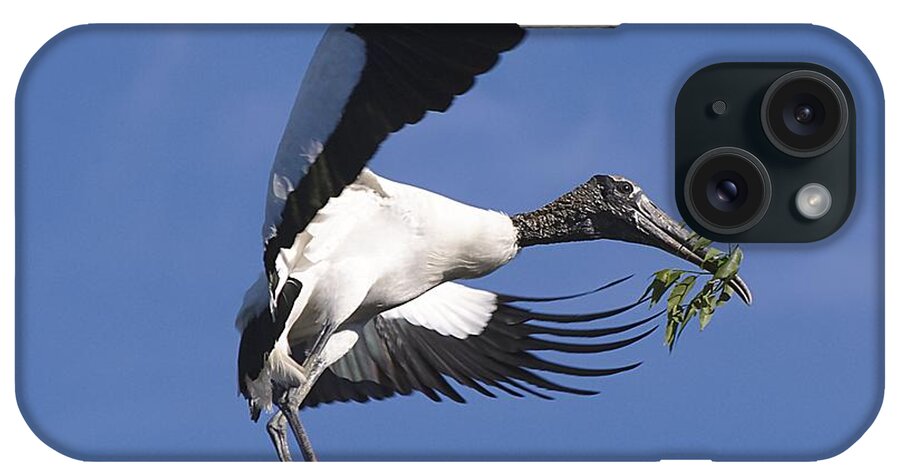 Stork iPhone Case featuring the photograph On A Mission by Kenneth Albin
