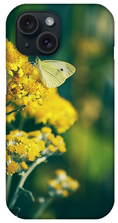 Flowers iPhone Case featuring the photograph On A Warm Summer Day by Angie Tirado