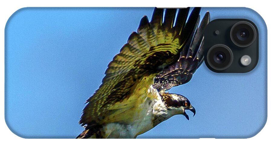 Osprey iPhone Case featuring the photograph On Approach by Jerry Cahill
