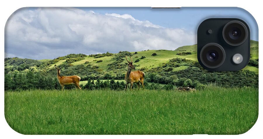 Beecraigs iPhone Case featuring the photograph On the look-out. by Elena Perelman