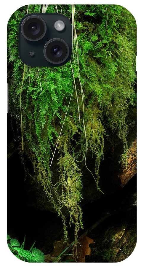 Moss iPhone Case featuring the photograph On The Rock Wall by Mike Eingle