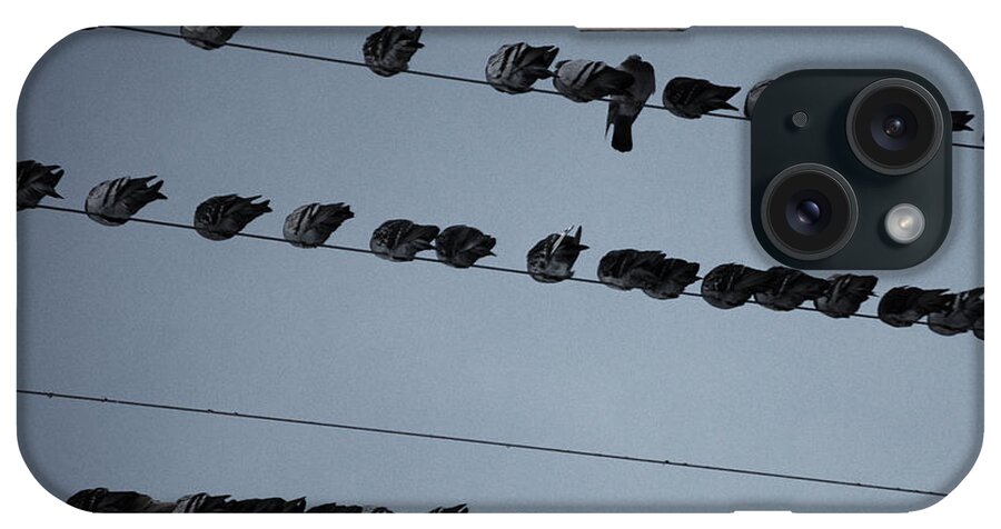 Birds iPhone Case featuring the photograph One in Every Crowd by Glory Ann Penington