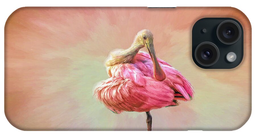 Florida iPhone Case featuring the mixed media A Mother Nature's Masterpiece III by DB Hayes
