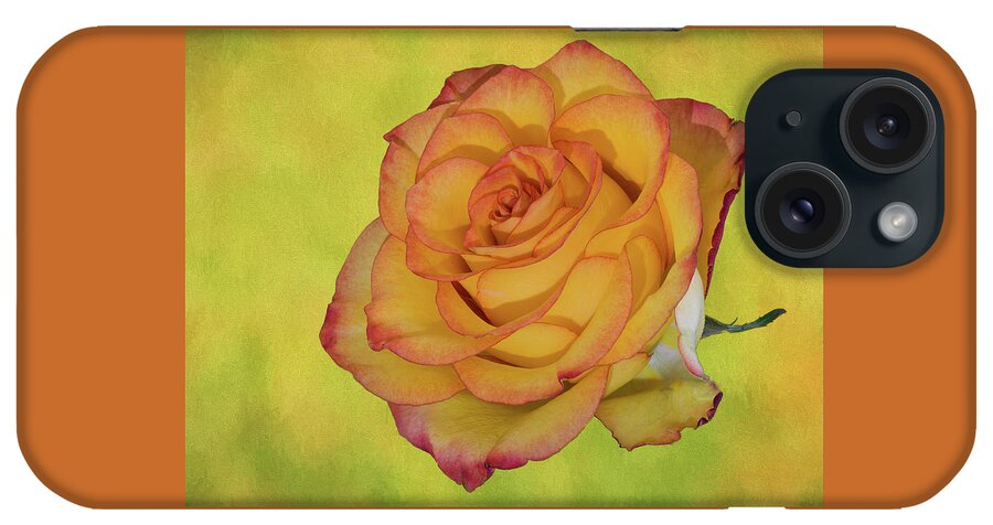 Detailed Rose iPhone Case featuring the photograph Only a Rose by John Roach