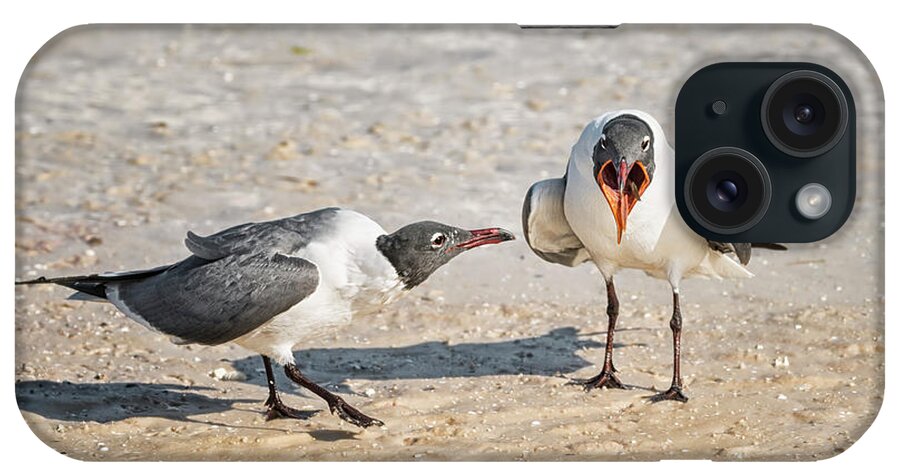 Laughing Gulls iPhone Case featuring the photograph Open Up and Say Ahhh by Peg Runyan
