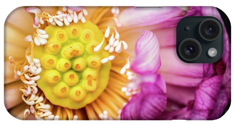 Flowers iPhone Case featuring the photograph Opening Lotus Pod by Don Johnson