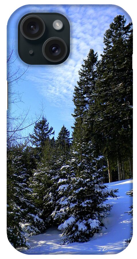 Pine Trees iPhone Case featuring the photograph Optimistic by Elfriede Fulda