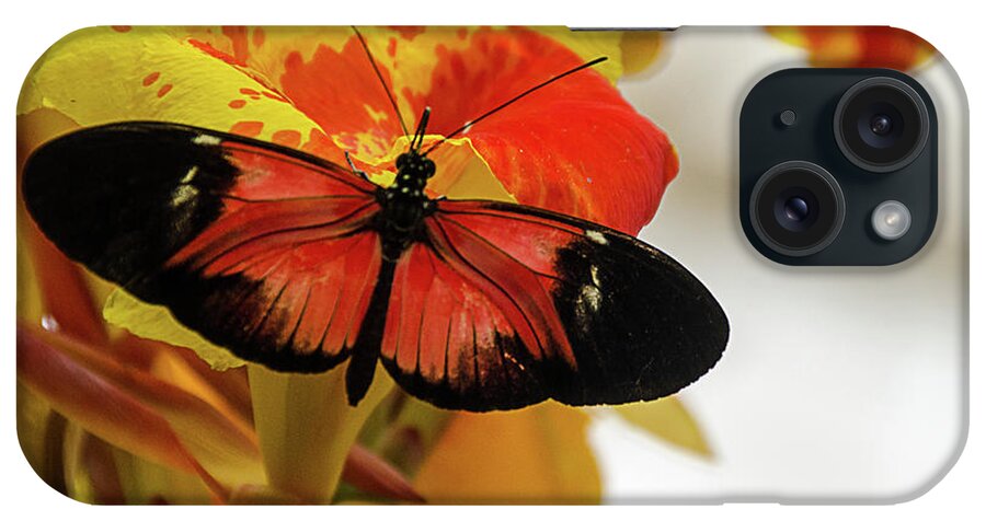 Orange iPhone Case featuring the photograph Orange and Black Butterfly by Norma Warden