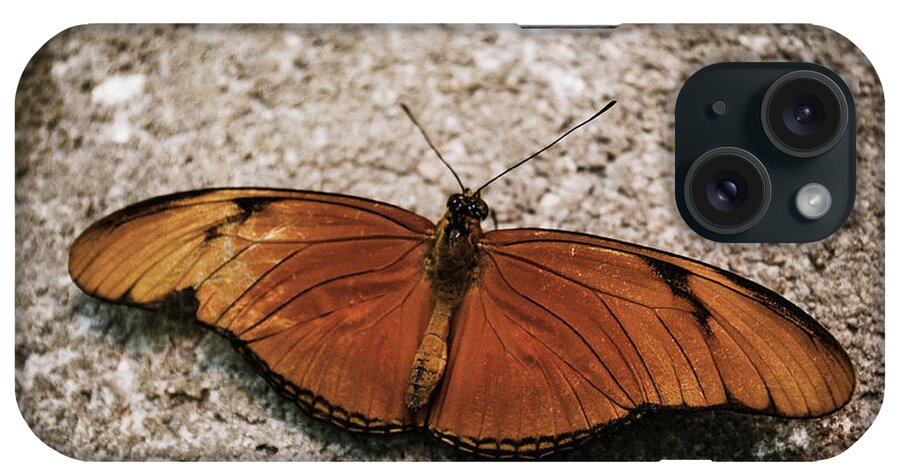 Butterflies iPhone Case featuring the photograph Orange Butterfly by Brad Thornton