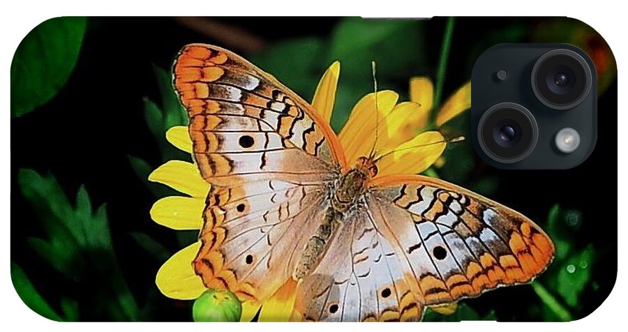 Butterfly iPhone Case featuring the photograph Butterfly by Buddy Morrison