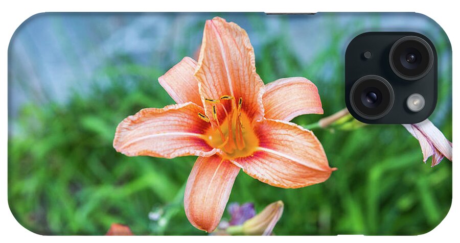 Flower iPhone Case featuring the photograph Orange Daylily by D K Wall