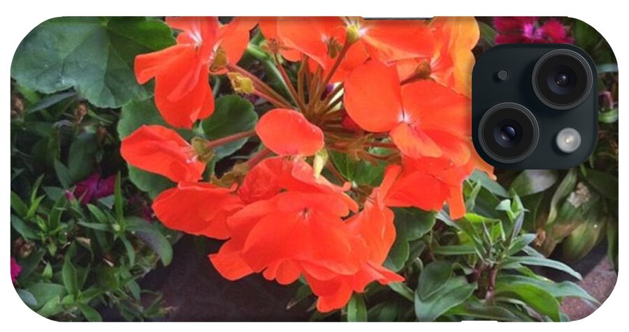 Orange iPhone Case featuring the photograph Orange Geranium! Love The Bright Color by Angel Patterson