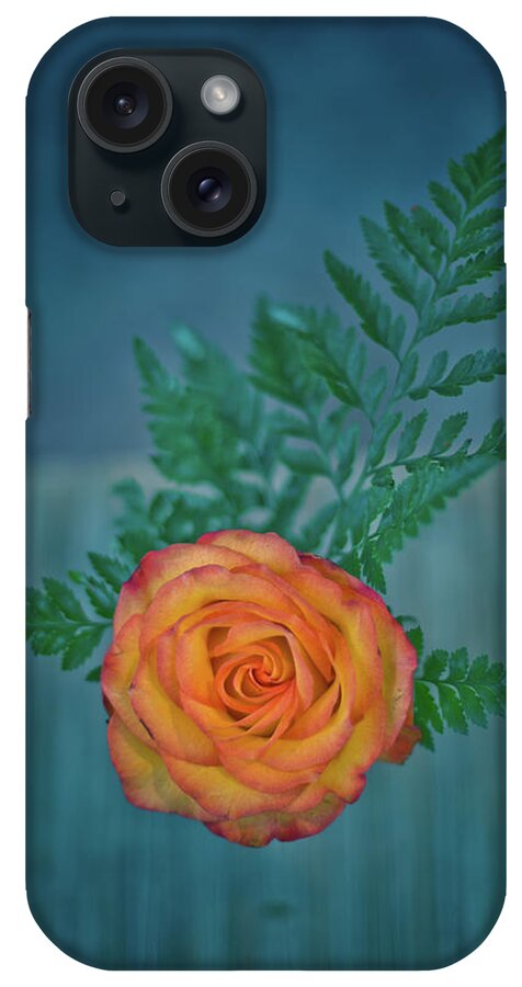 Beauty iPhone Case featuring the photograph Orange In Blue by Elvira Pinkhas