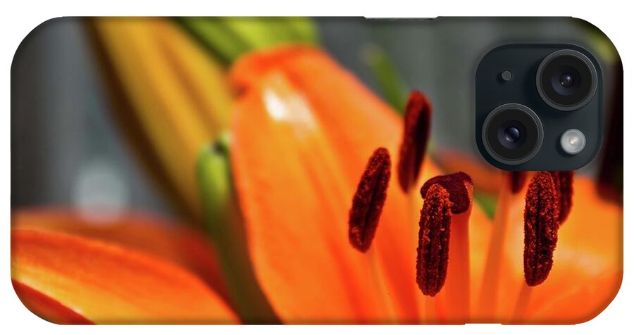 Orange iPhone Case featuring the photograph Orange Lily Close Up by Ms Judi