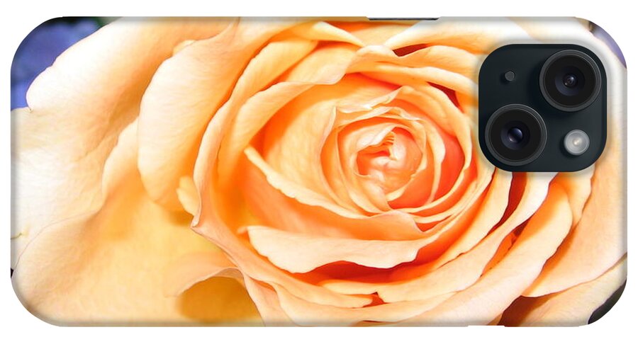Orange Peach Colored Rose iPhone Case featuring the photograph Orange Peach Colored Rose by Rose Santuci-Sofranko