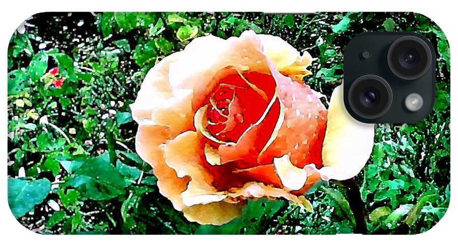 Roses iPhone Case featuring the photograph Orange Rose by A L Sadie Reneau