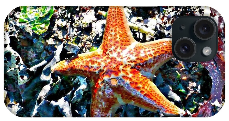 Starfish iPhone Case featuring the photograph Orange Starfish by 'REA' Gallery