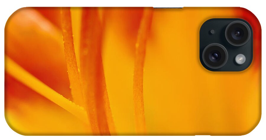 Orange Tiger Lilly Macro Print iPhone Case featuring the photograph Orange Tiger Lilly Macro Print by Gwen Gibson