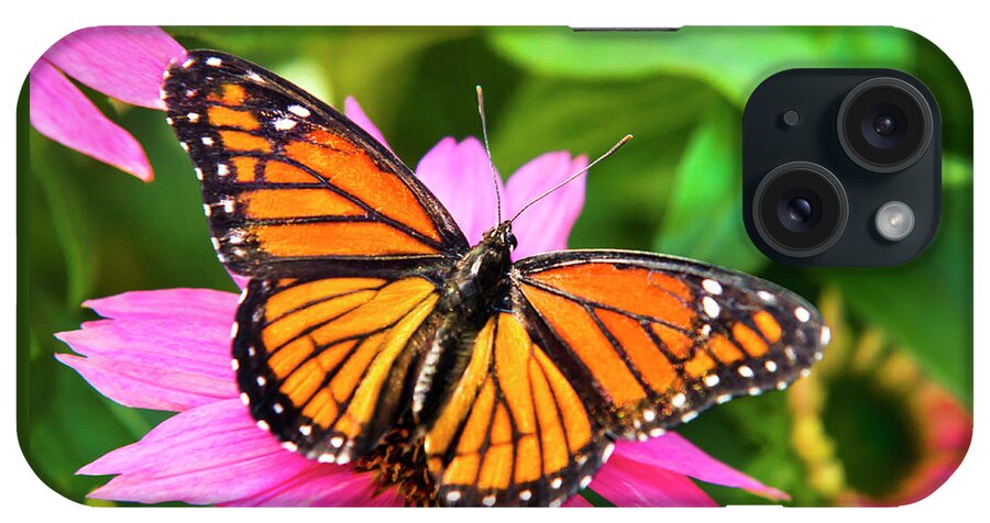 Butterflies iPhone Case featuring the photograph Orange Viceroy Butterfly by Christina Rollo