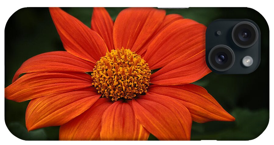 Flowers iPhone Case featuring the photograph Orange You Pretty by Dick Pratt