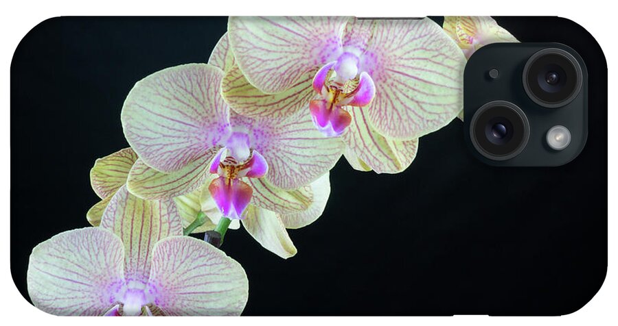 Orchid iPhone Case featuring the photograph Orchid 1 by Janet DeLapp
